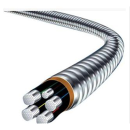 l铝合金电缆,铝合金电缆,重庆世达电线电缆有限公司