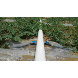 格莱欧节水设备(图)_****节水灌溉设备_广西节水灌溉设备
