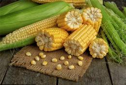长年求购玉米-五家渠求购玉米-汉光现代农业有限公司