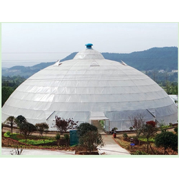 球形温室建设、鑫和温室园艺(在线咨询)、安丘球形温室