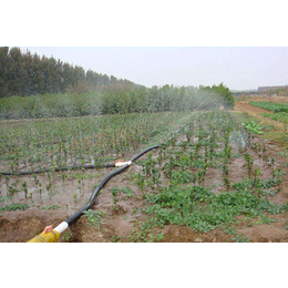 普洱大田灌溉设备、普洱大田灌溉设备厂家、润成节水灌溉