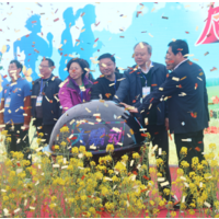 2018中國瑞昌國際鄉村馬拉松賽在金色花海中鳴槍開跑了