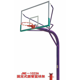 室内固定篮球架生产厂家、遂宁固定篮球架、冀中体育(查看)
