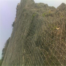 边坡防护铁丝网|商洛边坡防护|被动防护边坡网厂家