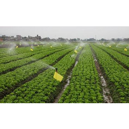 欣农科技(图)|低压滴灌系统|滴灌系统