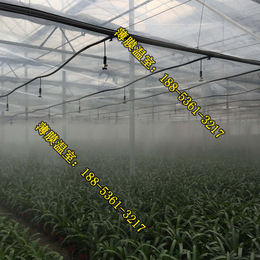三明薄膜温室大棚蔬菜高产,薄膜温室,福建建塑料薄膜温室的厂