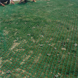 常州学校球场围网-东川丝网-学校球场围网生产