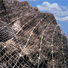 边坡防护用网批发-边坡防护网直接厂家-东营边坡防护网