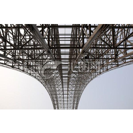 钢结构PVC棚顶,钢结构,南京展胜建筑工程(查看)