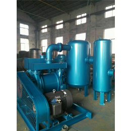 淄博元升泵业(图)、2BV水环式真空泵、海东真空泵