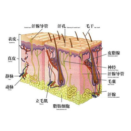 海口opt脱毛仪器,富恒美激光,*院opt脱毛仪器