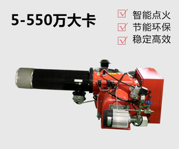 普洱燃烧器、艾森机械、城市煤气燃烧器