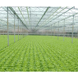 瑞众农业(图),北京新型智能温室,新型智能温室