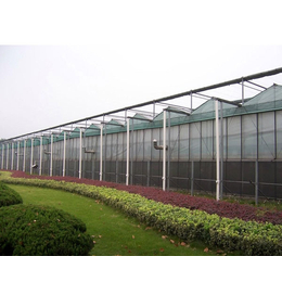 安徽温室大棚|合肥新一佳|蔬菜温室大棚厂家