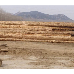 铁杉建筑口料|恒豪木材加工厂|铁杉建筑口料价位