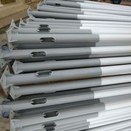 热镀锌喷塑灯杆灯柱 6-8米 保定利祥定制生产