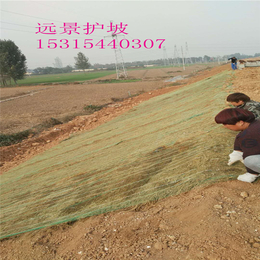 供应植物纤维毯环保草毯无草籽型