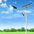 井陉新农村建设6米60W LED太阳能路灯厂家 路灯维修配件缩略图3
