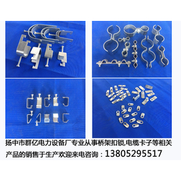 桥架扣锁| 扬中群亿电力|桥架扣锁价格