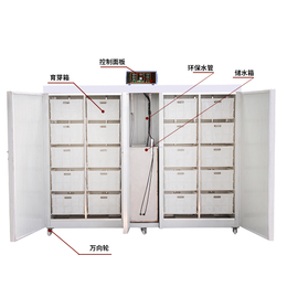 省人工豆芽机价格盛隆食品机械自动控温自动淋水新型豆芽机批发缩略图