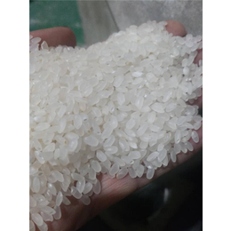 【宴宾米业】,河南碎米供应商,河南碎米