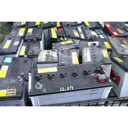 广州展华(图)-免维护蓄电池回收-东莞蓄电池回收