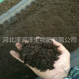 豆粕、泽河洋生物肥(在线咨询)、豆粕哪里有卖