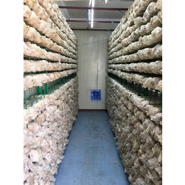 远程操控蘑菇箱房,精农科技(在线咨询),怒江州箱房