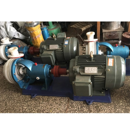石保泵业(多图)_威海32FSB-20L氟塑料防腐泵