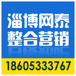 张店网站建设公司、淄博****的网站建设公司、淄博网泰科技