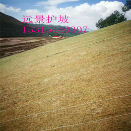 植物纤维毯环保草毯厂家*南京护坡绿化材料