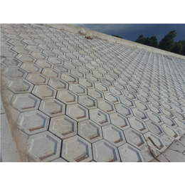 古马山水泥制品质量优(图)、水泥六角砖、台州水泥六角砖