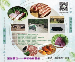 银河谷(图)、藏香猪肉价格、北京藏香猪肉