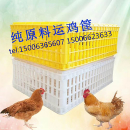 厂家*新款塑料鸡筐大鸡运输笼
