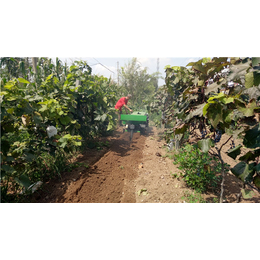 高密益丰机械(图)-果园施肥机-施肥机