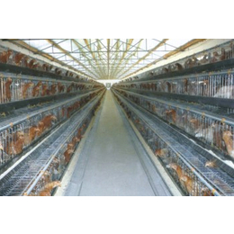华翔养殖设备质量好|供应鸡笼鸡架|信阳市鸡笼