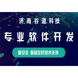 河北谷道客户管理软件开发 双轨*模式系统制作