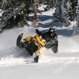 雪地摩托 大马力摩托 防滑定制帅气外形 ATV摩托滑雪摩托