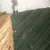 临汾生产河道*冲生物毯 植物纤维毯 边坡防护绿化 快速成坪缩略图2