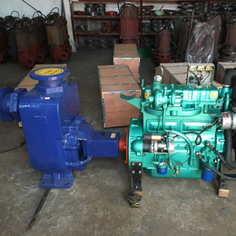 自吸泵型号-衡水ZW65-40-25无堵塞自吸污水泵