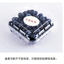 南京吸塑包装-PET水果盒-食品吸塑包装盒