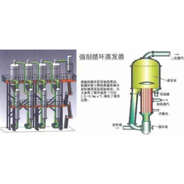 彬达干燥_蒸发器_蒸发器厂家