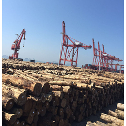 海南嘉航木业有限公司(图)|建筑方木价格|海南建筑方木