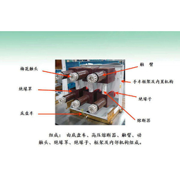 抽出式高压开关柜多少钱-青海抽出式高压开关柜-圣辰电气