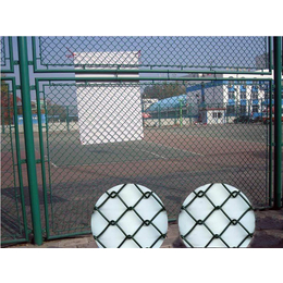 包塑球场护栏网,河北华久,包塑球场护栏网加工