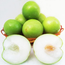 苹果枣零售商|广西苹果枣|满园香(查看)