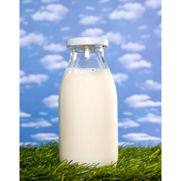 豆奶报价|咸宁豆奶| 绿洲海食品(查看)