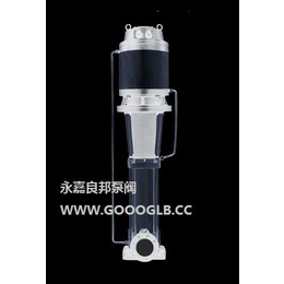 永嘉良邦CDL1-36立式水冷静音不锈钢多级离心泵