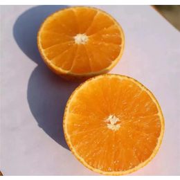 果冻橙哪家好-润昌果业(在线咨询)-昆明果冻橙