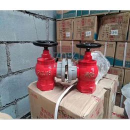 室内消火栓材质、济南鼎盛(在线咨询)、滨州室内消火栓